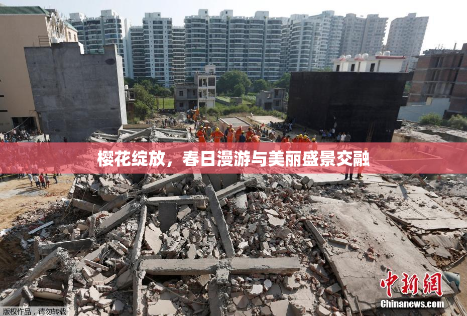 樱花绽放，春日漫游与美丽盛景交融