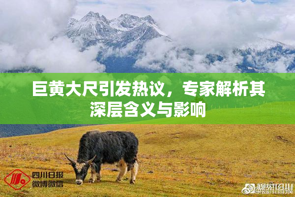 巨黄大尺引发热议，专家解析其深层含义与影响