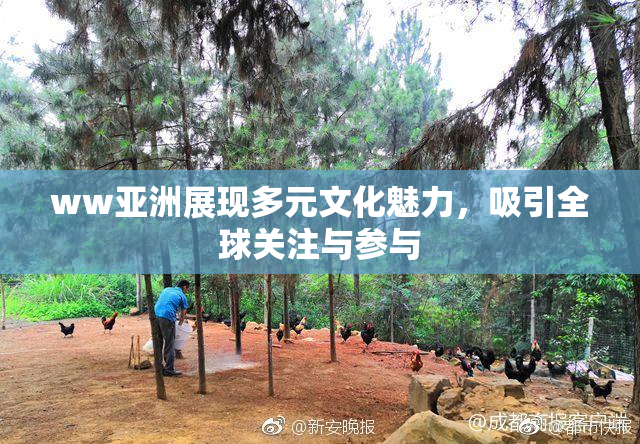 ww亚洲展现多元文化魅力，吸引全球关注与参与