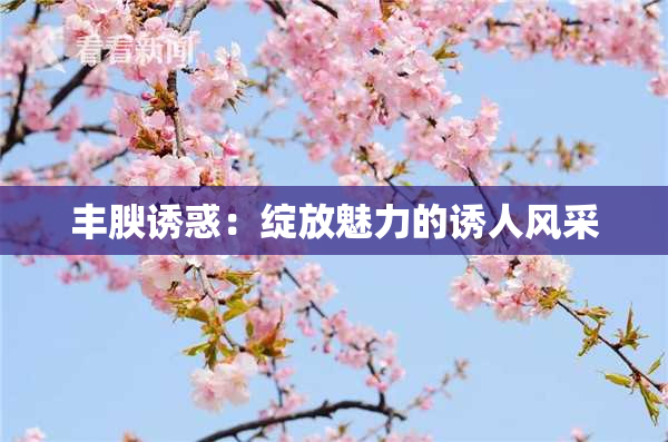 丰腴诱惑：绽放魅力的诱人风采