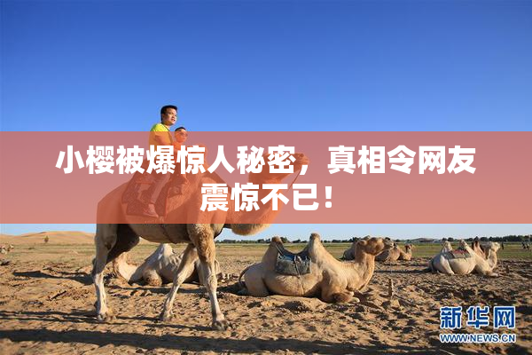 小樱被爆惊人秘密，真相令网友震惊不已！