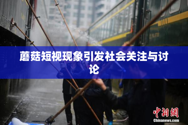 蘑菇短视现象引发社会关注与讨论