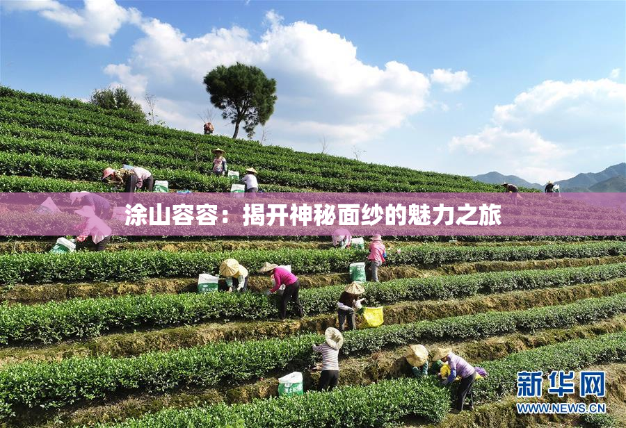 涂山容容：揭开神秘面纱的魅力之旅