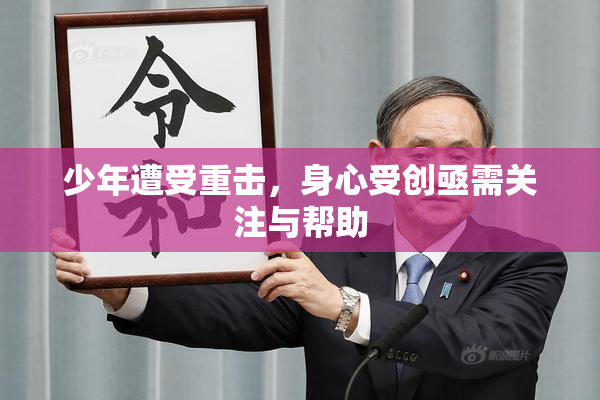 少年遭受重击，身心受创亟需关注与帮助