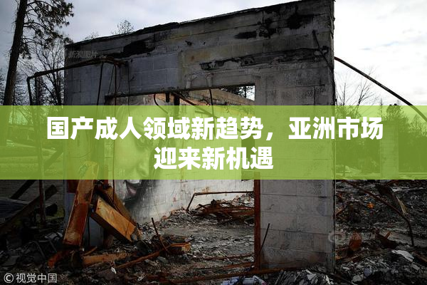 国产成人领域新趋势，亚洲市场迎来新机遇