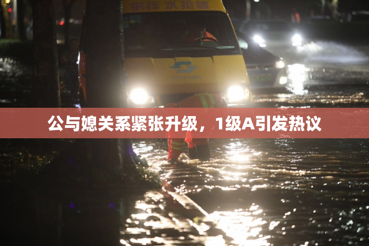 公与媳关系紧张升级，1级A引发热议