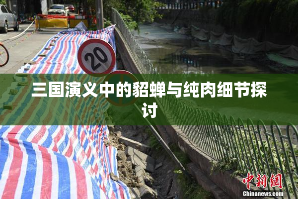 三国演义中的貂蝉与纯肉细节探讨