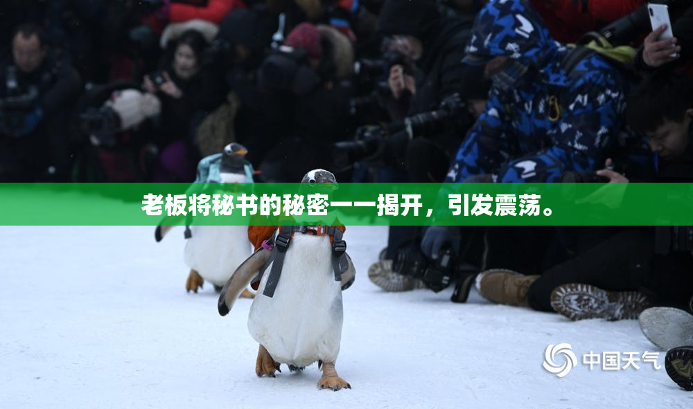 老板将秘书的秘密一一揭开，引发震荡。