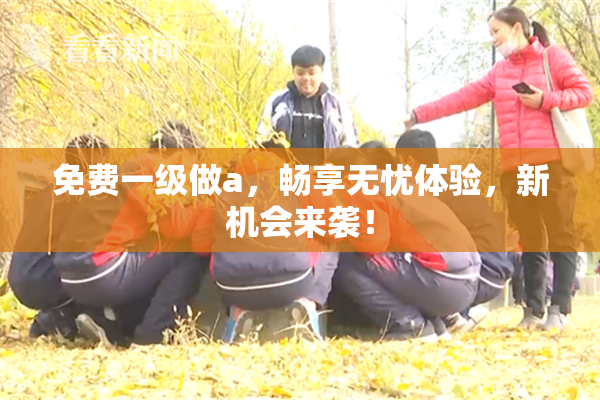 免费一级做a，畅享无忧体验，新机会来袭！