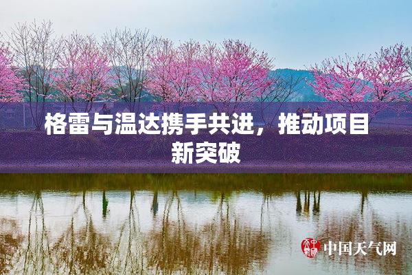 格雷与温达携手共进，推动项目新突破