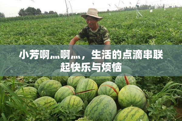 小芳啊灬啊灬，生活的点滴串联起快乐与烦恼