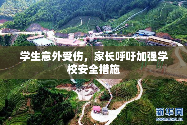 学生意外受伤，家长呼吁加强学校安全措施