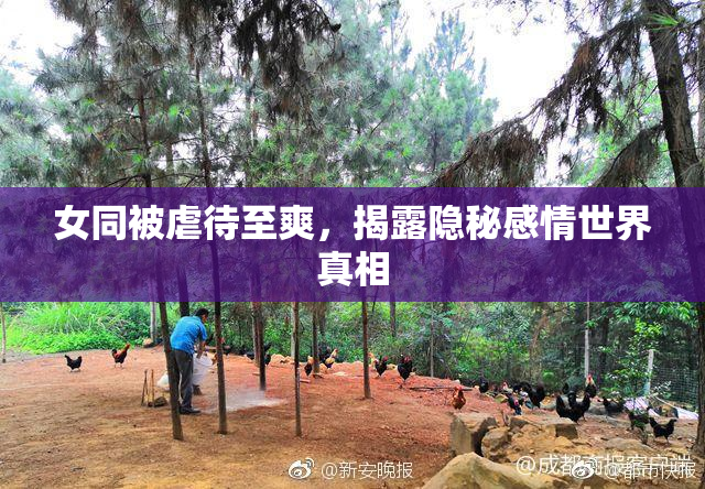 女同被虐待至爽，揭露隐秘感情世界真相