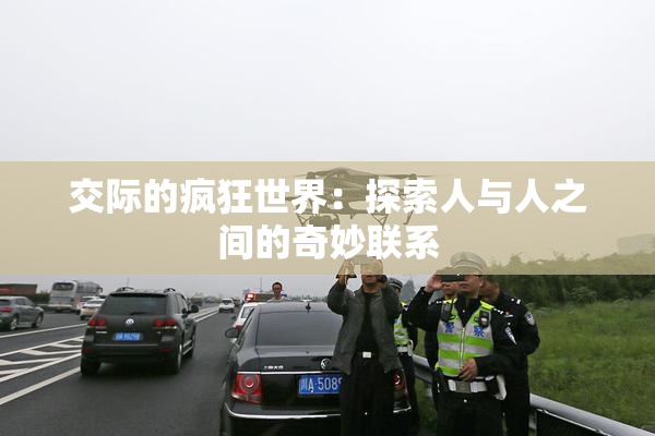 交际的疯狂世界：探索人与人之间的奇妙联系
