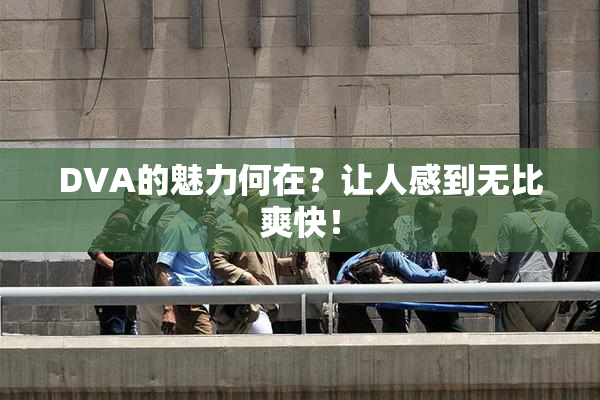 DVA的魅力何在？让人感到无比爽快！