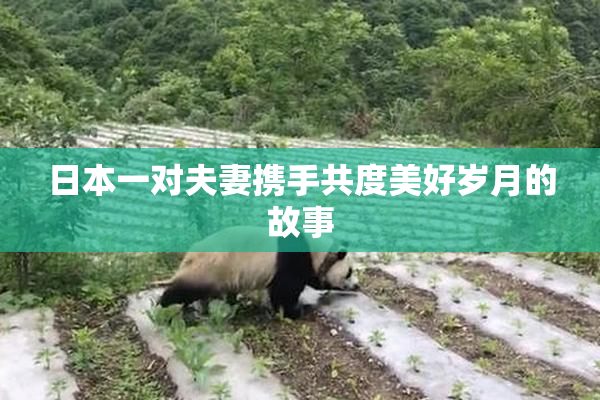 日本一对夫妻携手共度美好岁月的故事