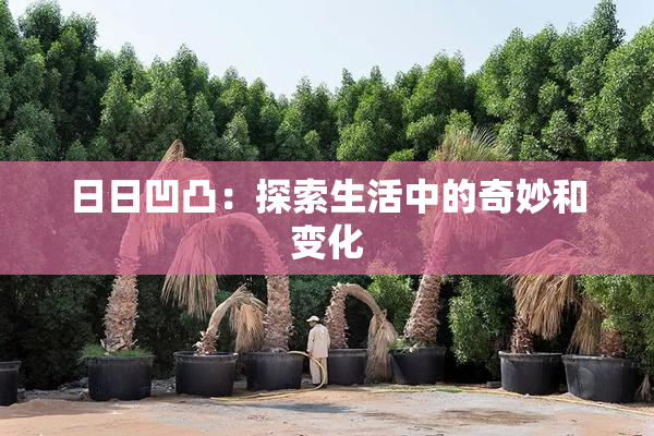 日日凹凸：探索生活中的奇妙和变化