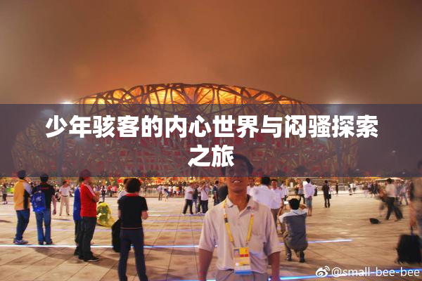 少年骇客的内心世界与闷骚探索之旅