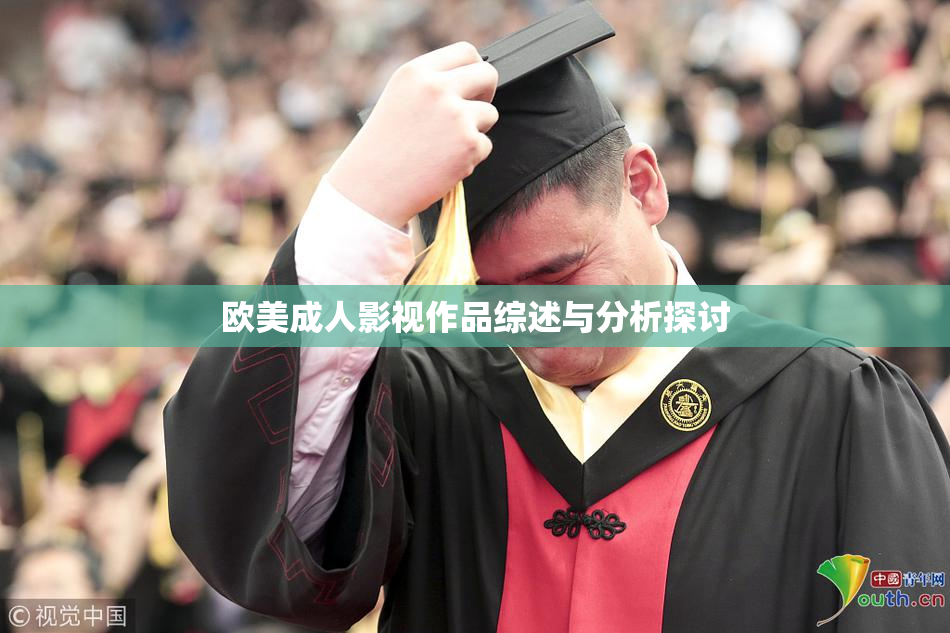 欧美成人影视作品综述与分析探讨