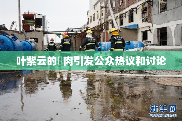 叶紫云的婬肉引发公众热议和讨论