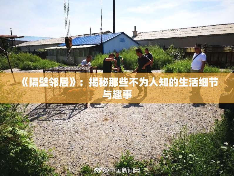 《隔壁邻居》：揭秘那些不为人知的生活细节与趣事