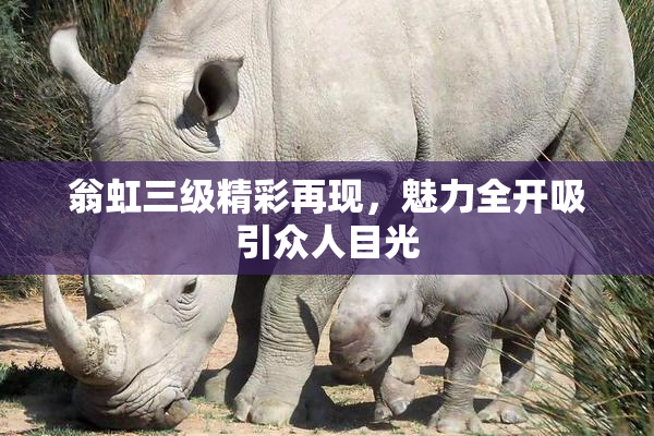 翁虹三级精彩再现，魅力全开吸引众人目光