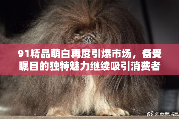 91精品萌白再度引爆市场，备受瞩目的独特魅力继续吸引消费者关注