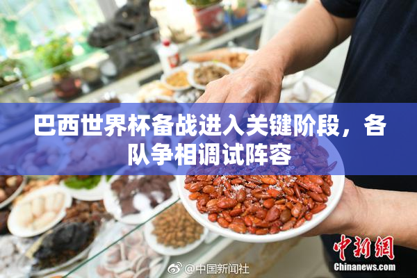 巴西世界杯备战进入关键阶段，各队争相调试阵容