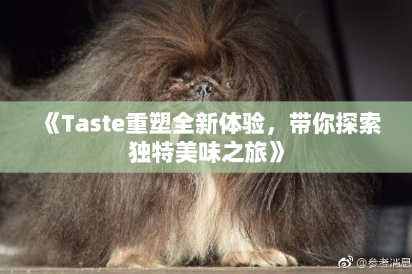 《Taste重塑全新体验，带你探索独特美味之旅》