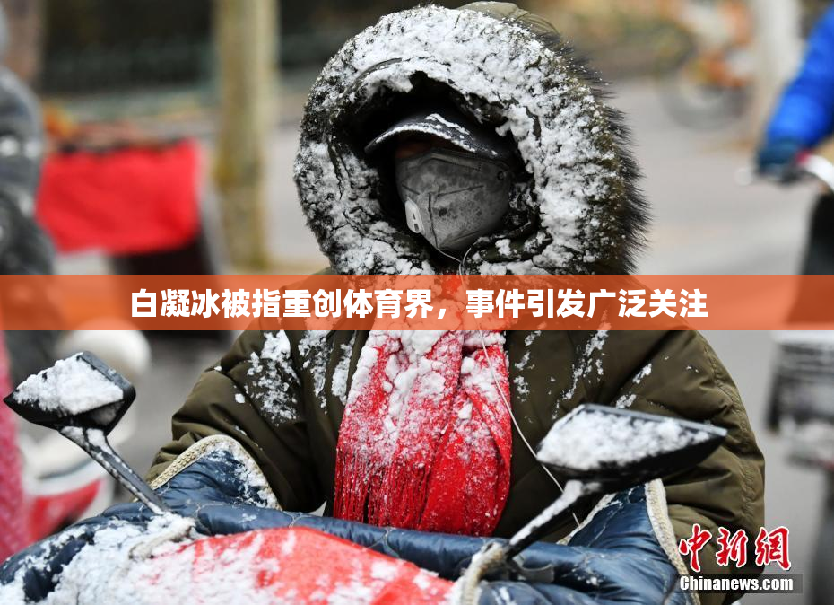 白凝冰被指重创体育界，事件引发广泛关注