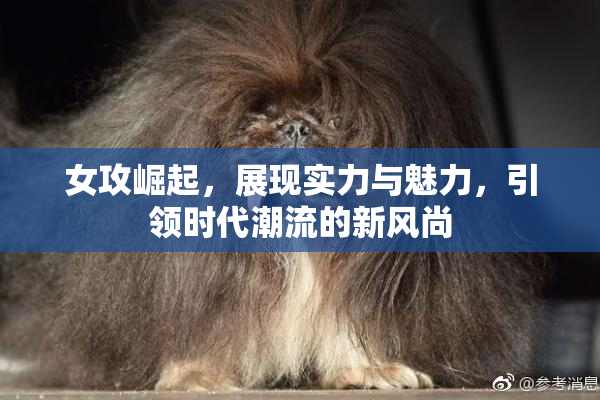 女攻崛起，展现实力与魅力，引领时代潮流的新风尚