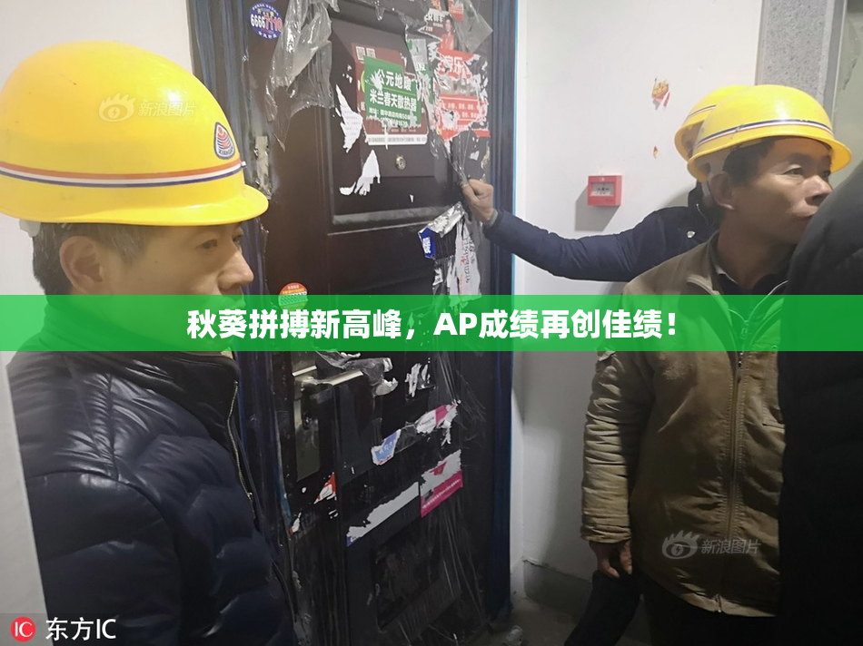 秋葵拼搏新高峰，AP成绩再创佳绩！