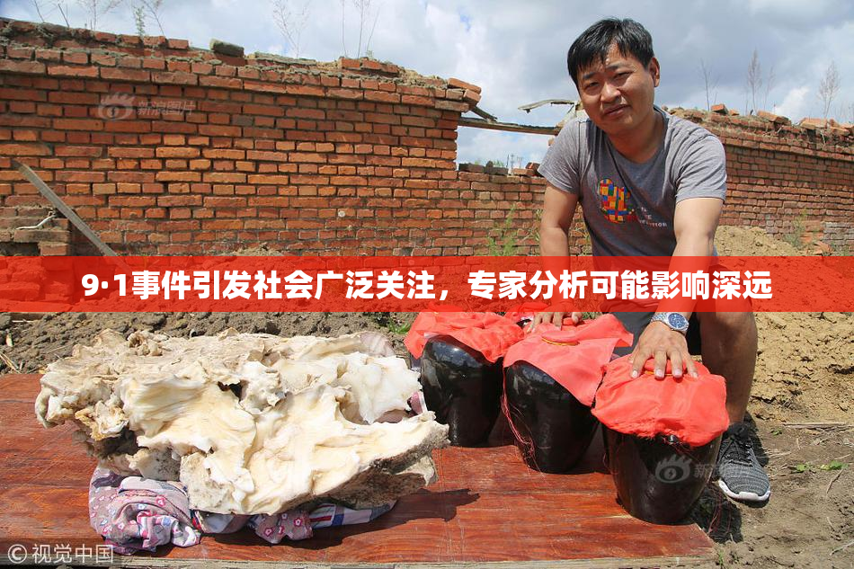 9·1事件引发社会广泛关注，专家分析可能影响深远