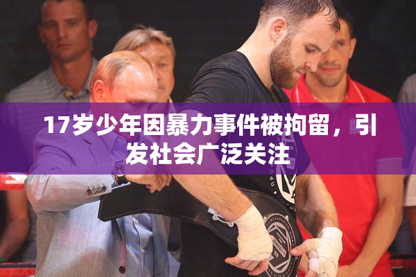 17岁少年因暴力事件被拘留，引发社会广泛关注