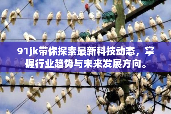 91jk带你探索最新科技动态，掌握行业趋势与未来发展方向。