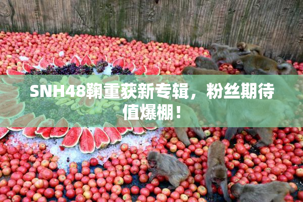 SNH48鞠重获新专辑，粉丝期待值爆棚！