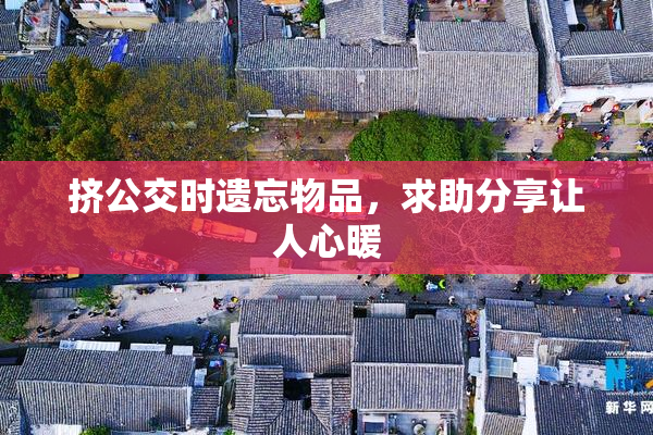 挤公交时遗忘物品，求助分享让人心暖