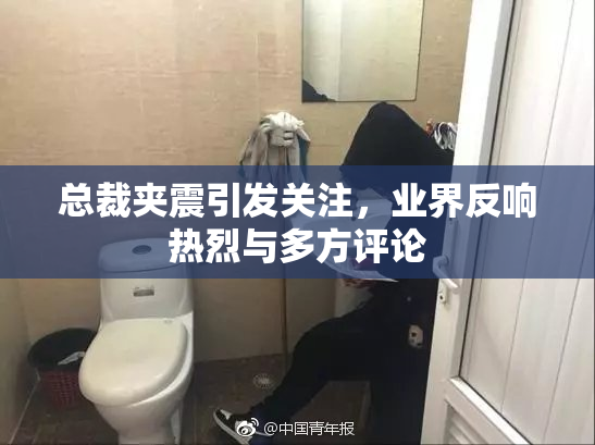 总裁夹震引发关注，业界反响热烈与多方评论