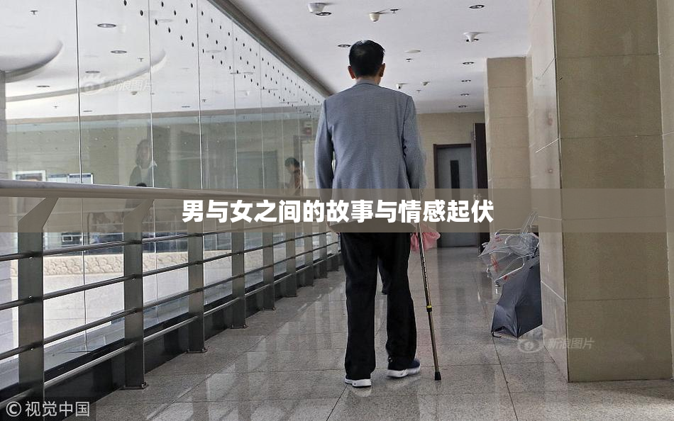 男与女之间的故事与情感起伏