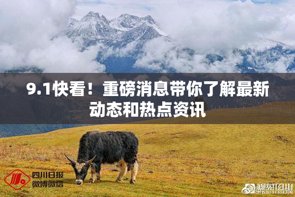 9.1快看！重磅消息带你了解最新动态和热点资讯