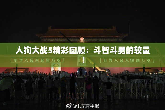 人狗大战5精彩回顾：斗智斗勇的较量！