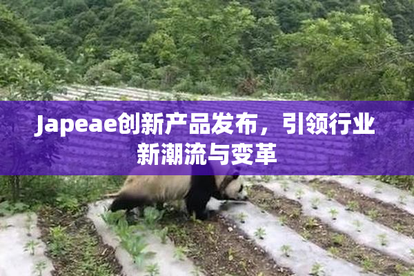 Japeae创新产品发布，引领行业新潮流与变革