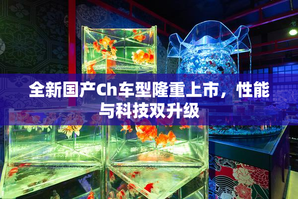 全新国产Ch车型隆重上市，性能与科技双升级