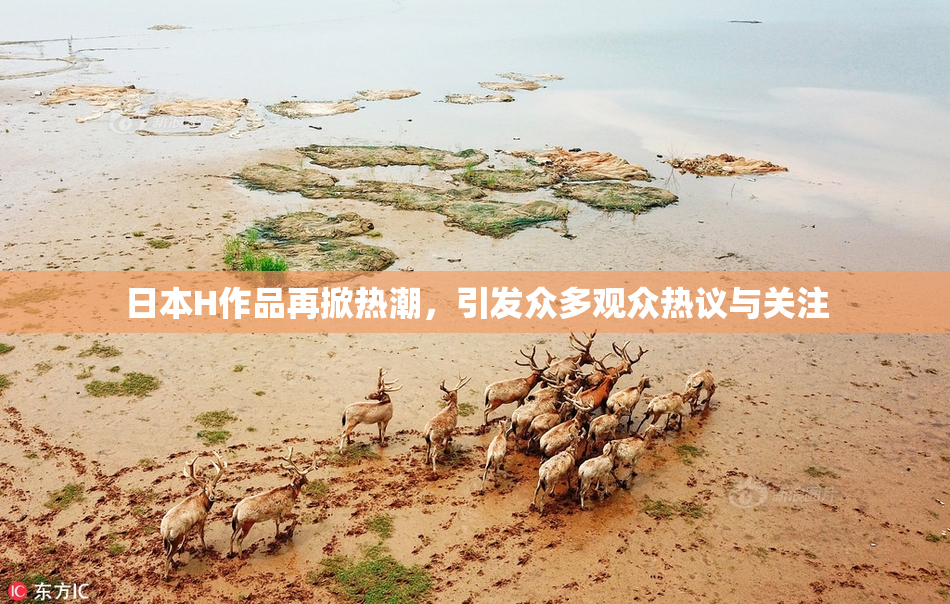 日本H作品再掀热潮，引发众多观众热议与关注