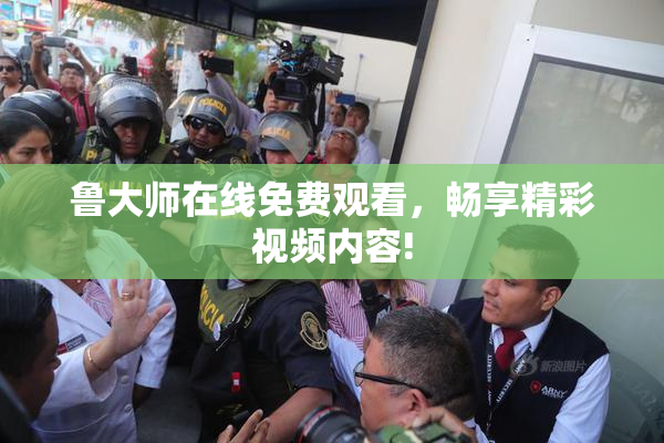 鲁大师在线免费观看，畅享精彩视频内容!