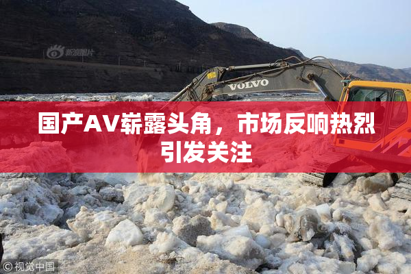 国产AV崭露头角，市场反响热烈引发关注