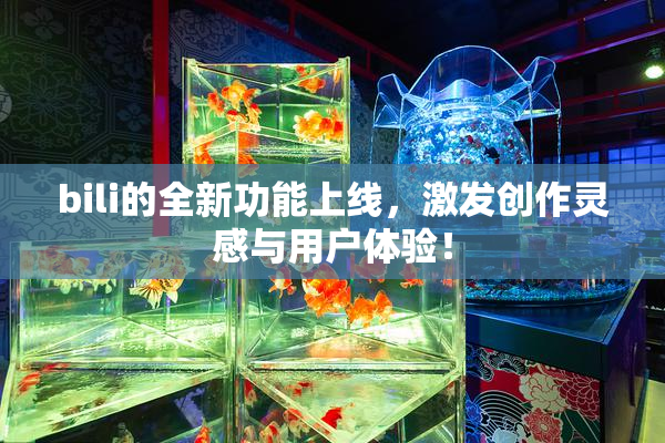 bili的全新功能上线，激发创作灵感与用户体验！