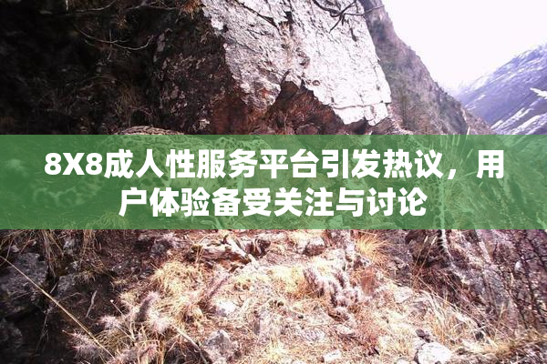 8X8成人性服务平台引发热议，用户体验备受关注与讨论