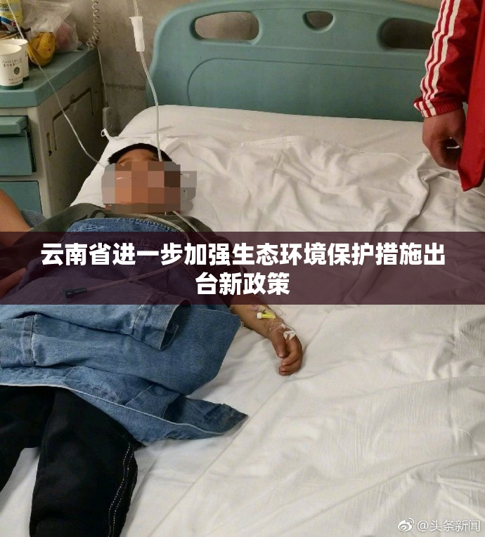云南省进一步加强生态环境保护措施出台新政策