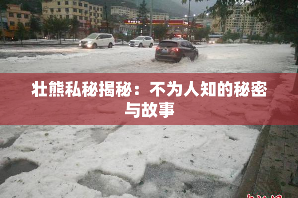 壮熊私秘揭秘：不为人知的秘密与故事